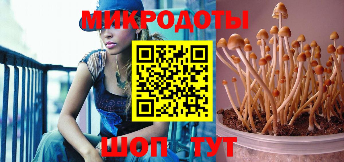 МЕФ Кемерово